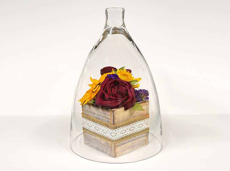 Preserved Flower Boxes and Vases Fantastic Blooms