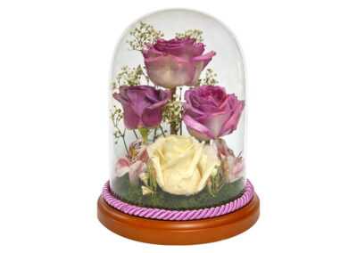Preserved Roses in a Glass Dome