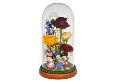 Glass Dome