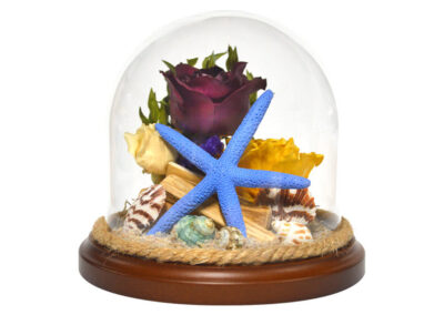 Glass Dome